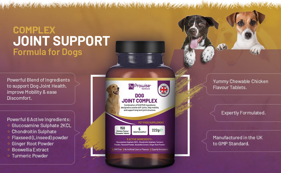 Dog Joint Support 150 Chicken Chewable Tablets 5 Months Supply | UK Made by Prowise