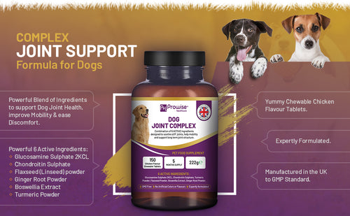 Dog Joint Support 150 Chicken Chewable Tablets 5 Months Supply | UK Made by Prowise